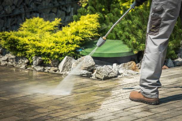 Animal Enclosure Cleaning in Huntingdon, TN