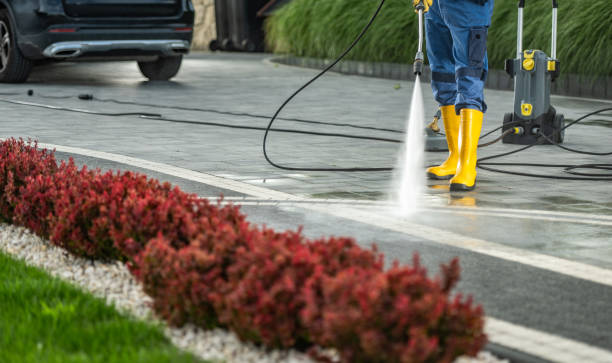 Best Soft Washing  in Huntingdon, TN